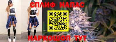крисы Будённовск