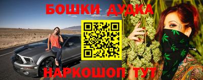крисы Будённовск