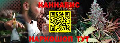 крисы Будённовск