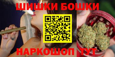 крисы Будённовск